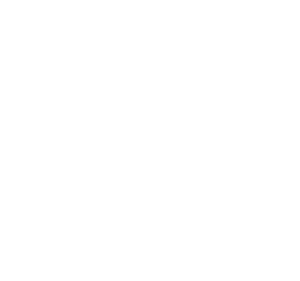 Escudo de Armas en blanco